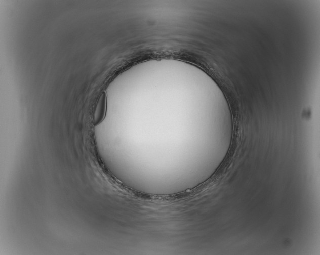 X0000112791153200908210931