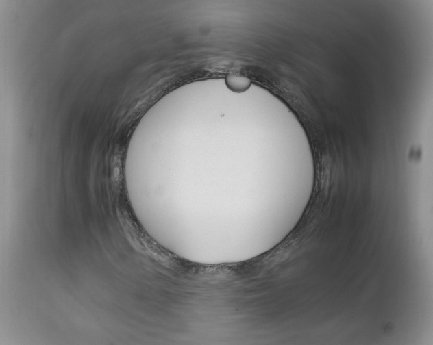 X0000112791154200908210931