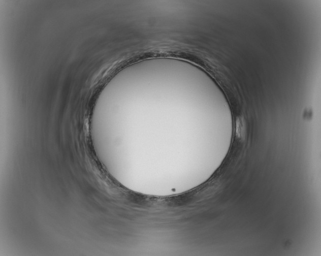 X0000112791155200908210931