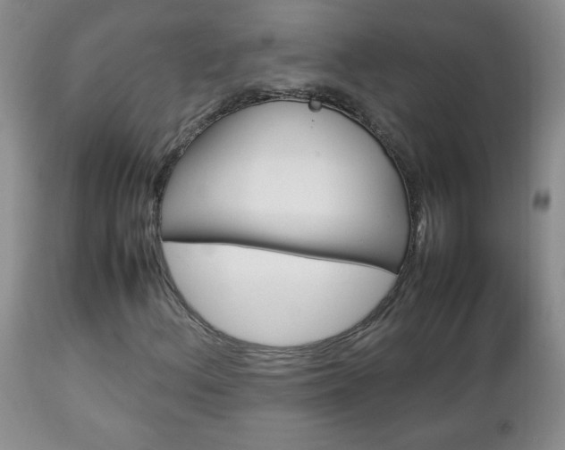 X0000112791156200908210931