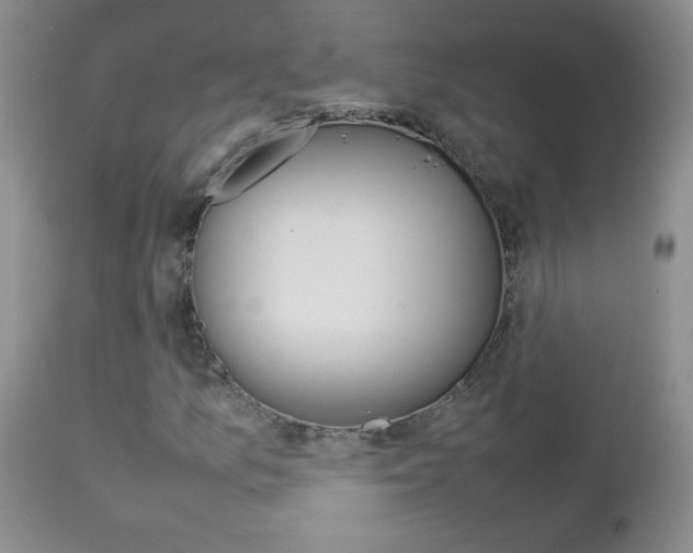 X0000112791157200908210931