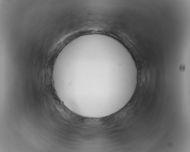 X0000112791158200908210931
