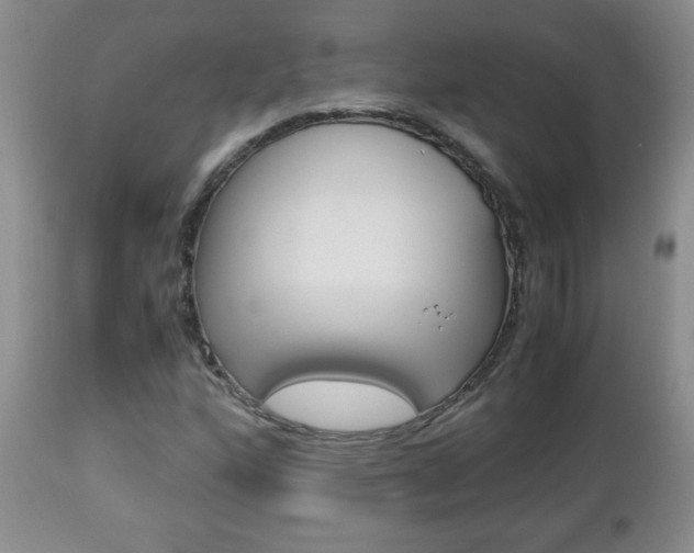 X0000112791160200908210931