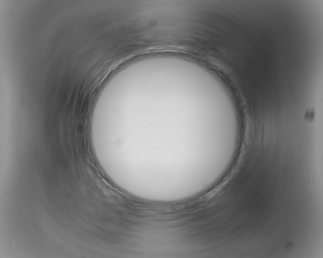 X0000112791161200908210931