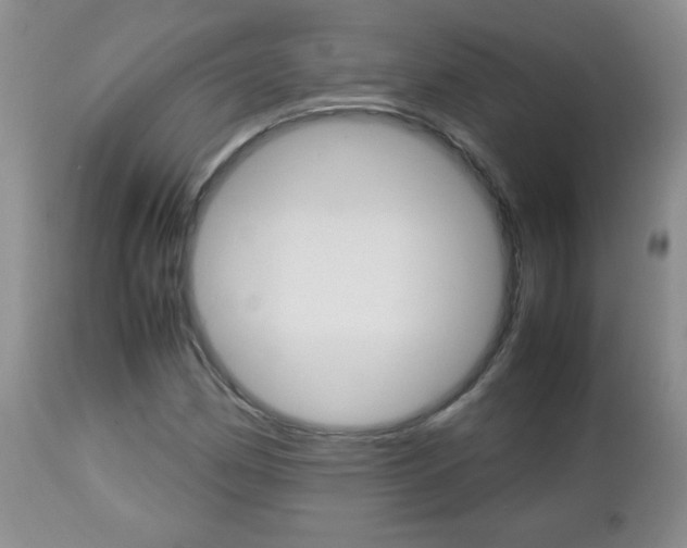 X0000112791162200908210931