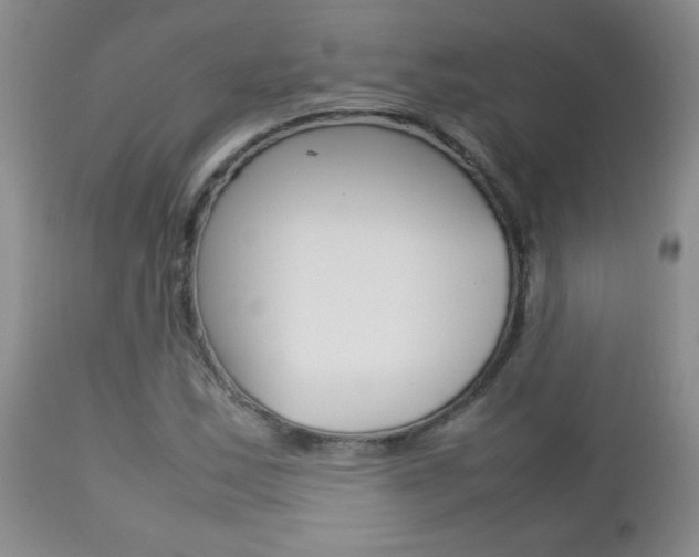 X0000112791163200908210931