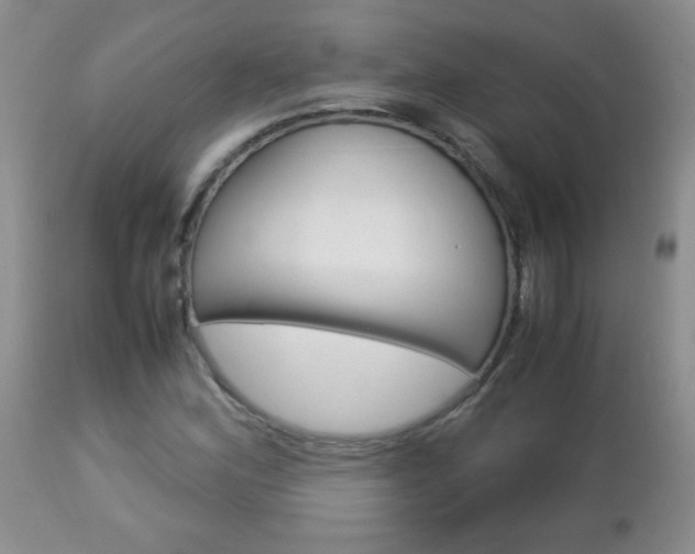 X0000112791164200908210931
