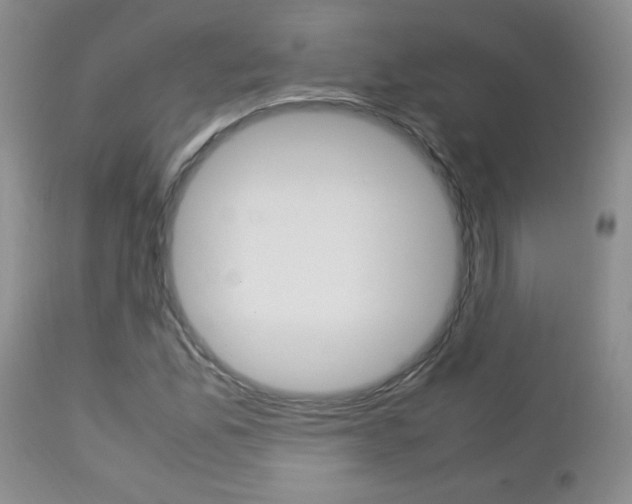 X0000112791165200908210931