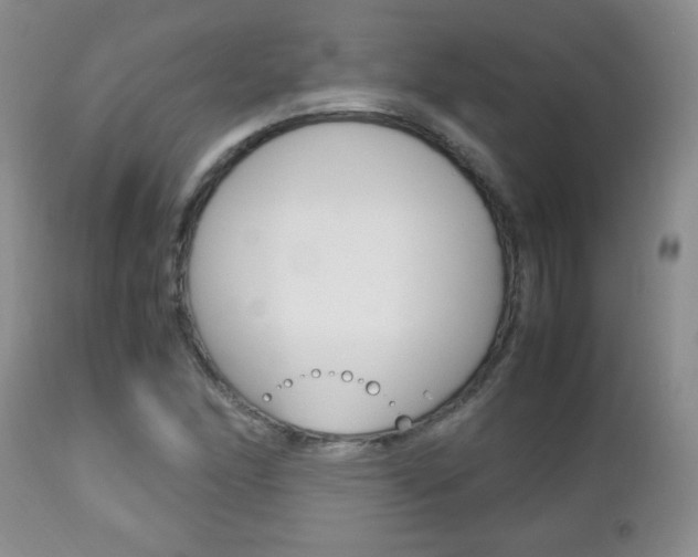 X0000112791166200908210931