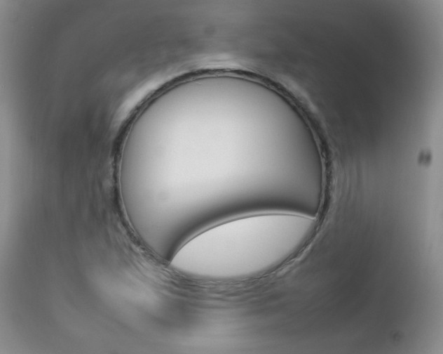 X0000112791167200908210931