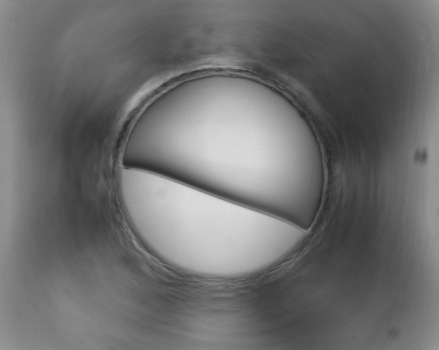 X0000112791168200908210931