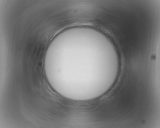 X0000112791169200908210931