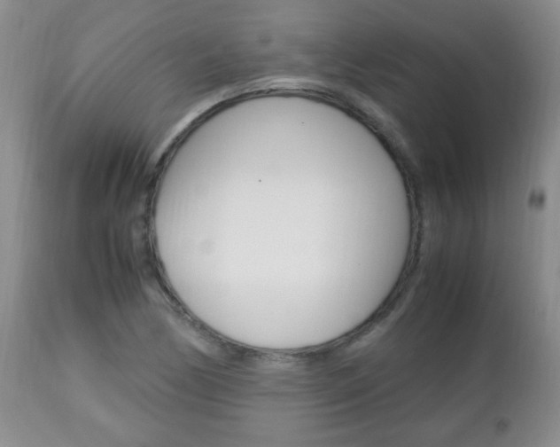 X0000112791170200908210931