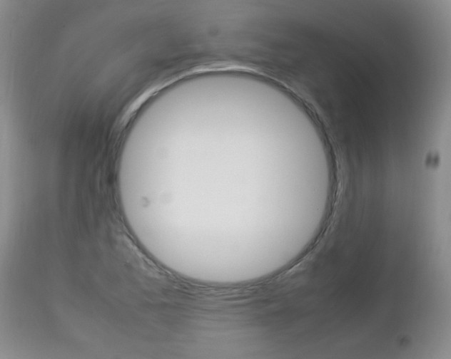 X0000112791173200908210931