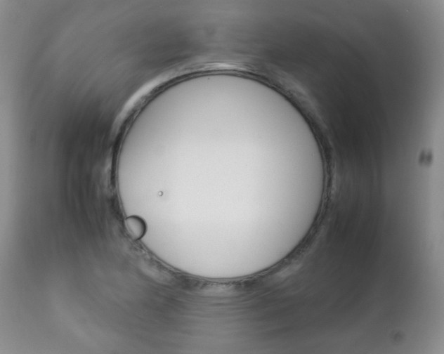 X0000112791174200908210931