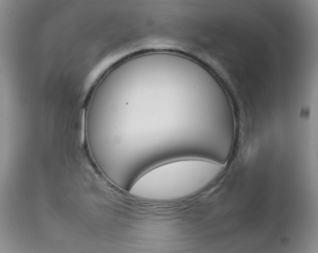 X0000112791175200908210931