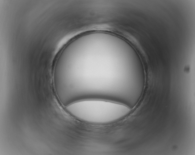 X0000112791176200908210931