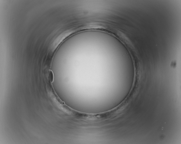 X0000112791177200908210931