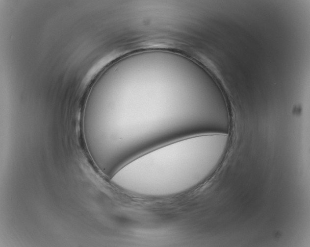 X0000112791179200908210931