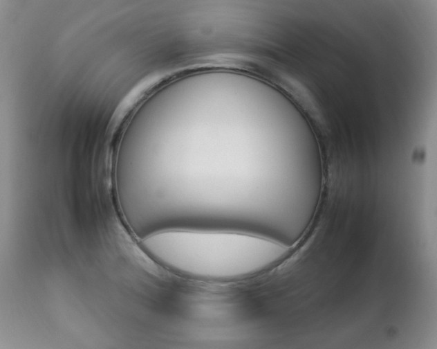 X0000112791180200908210931