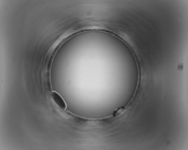 X0000112791181200908210931