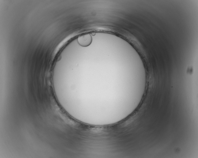 X0000112791182200908210931