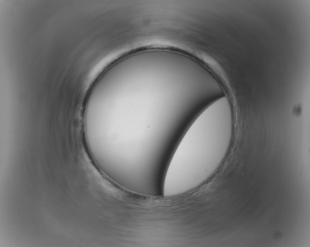 X0000112791183200908210931