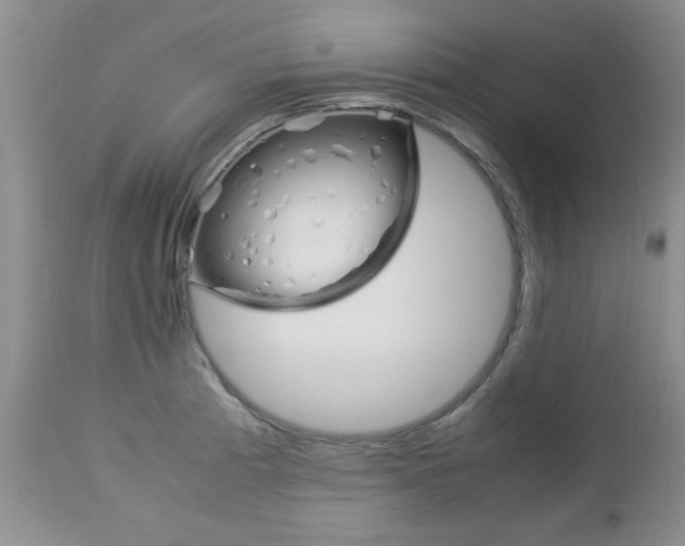 X0000112791185200908210931