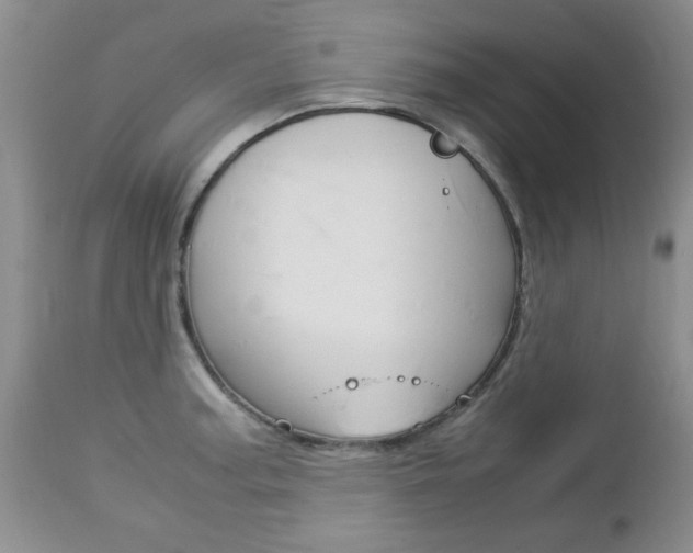 X0000112791187200908210931