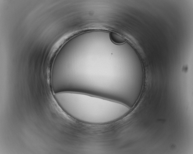 X0000112791188200908210931