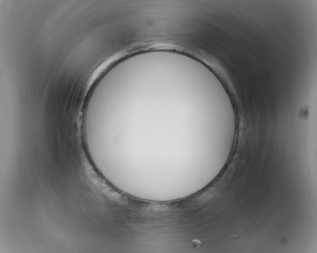 X0000112791190200908210931