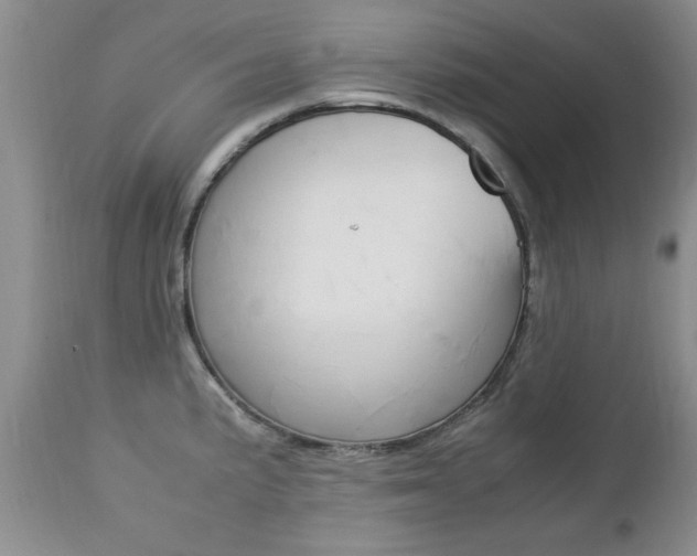 X0000112791191200908210931