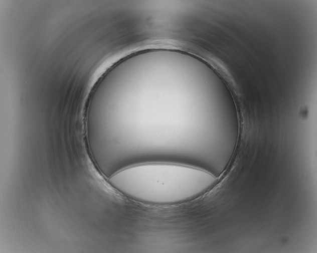 X0000112791192200908210931
