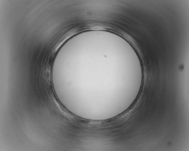 X0000112791194200908210931