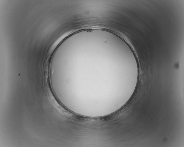 X0000112791195200908210931