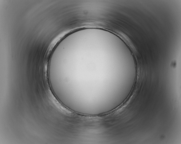 X0000112791196200908210931