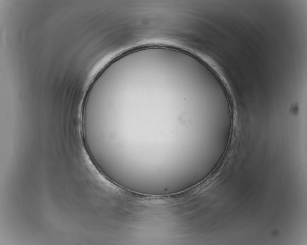 X0000112791199200908210931