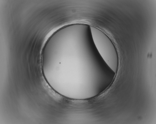 X0000112791200200908210931