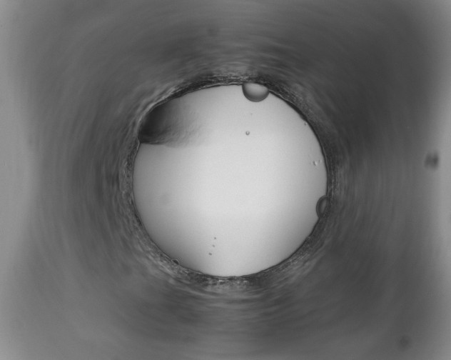 X0000112791201200908210930