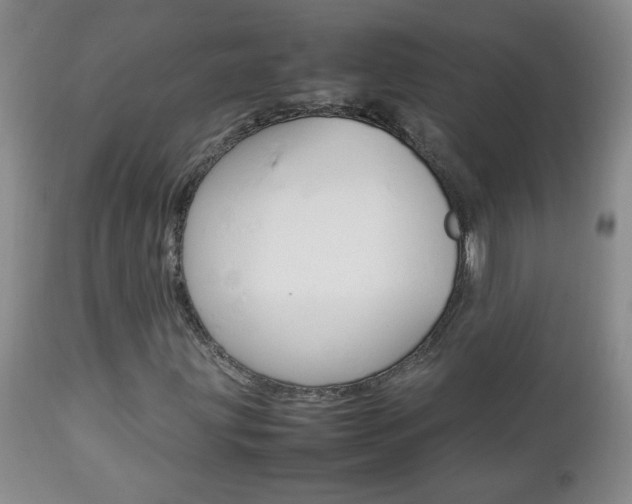 X0000112791203200908210930