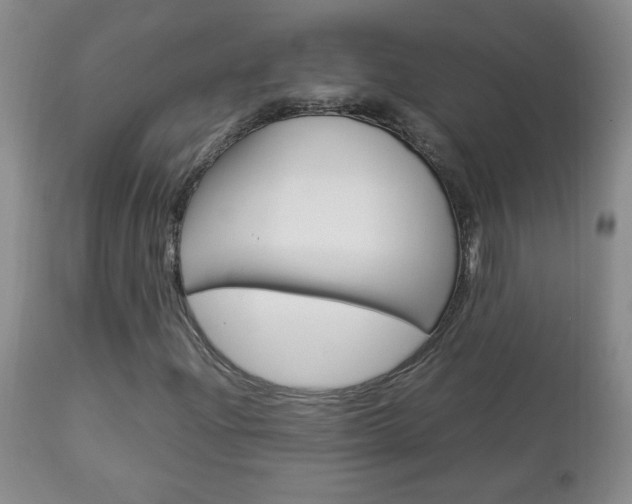 X0000112791204200908210930