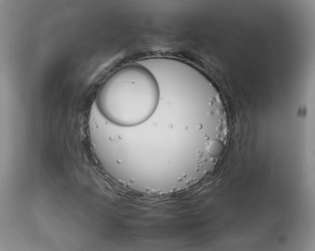 X0000112791205200908210930