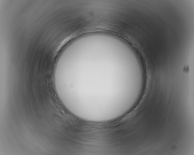 X0000112791210200908210930