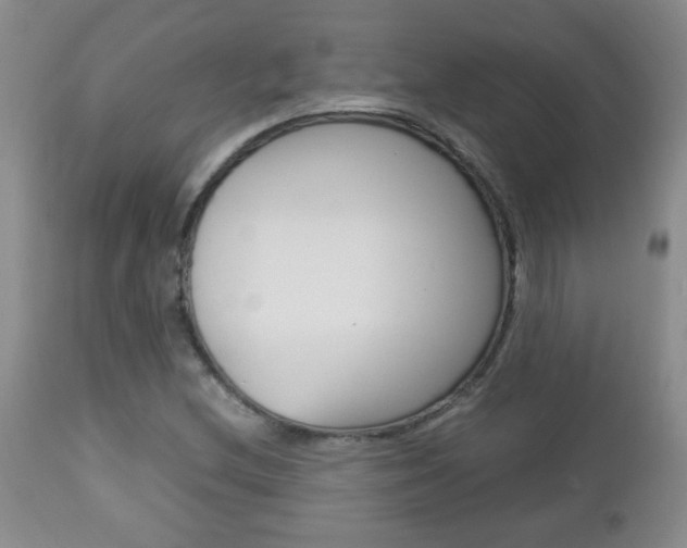 X0000112791212200908210930