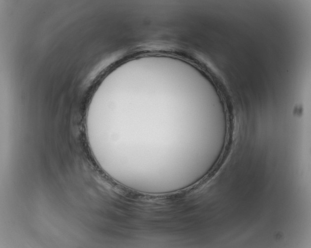 X0000112791213200908210930