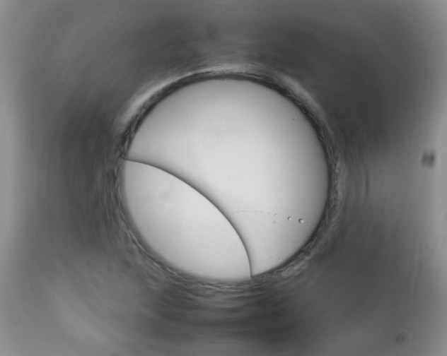 X0000112791215200908210930