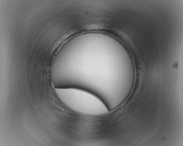 X0000112791217200908210930
