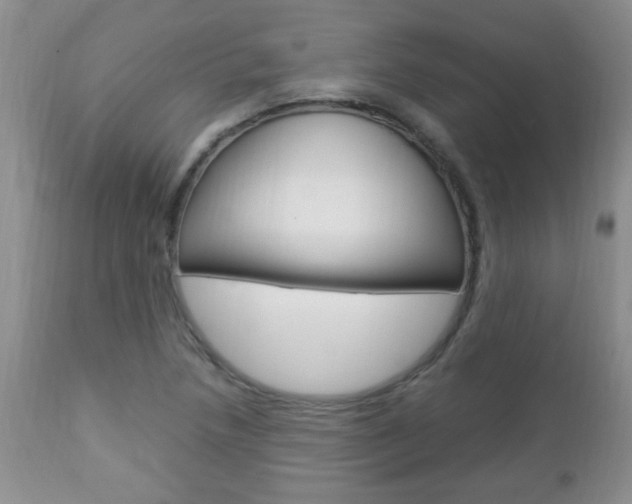 X0000112791218200908210930