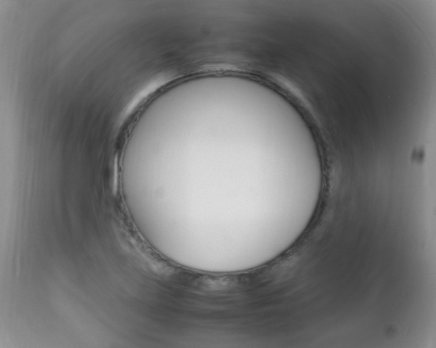 X0000112791219200908210930