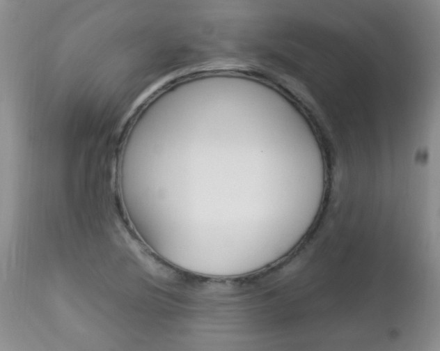 X0000112791220200908210930